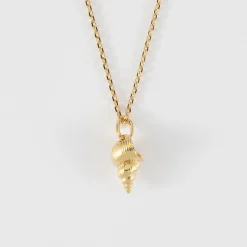 Pendentif coquillage scalaire plaqué or 12 mm