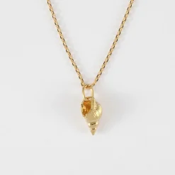 Pendentif coquillage scalaire plaqué or 12 mm